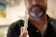 Coral Disease Recovery Fund